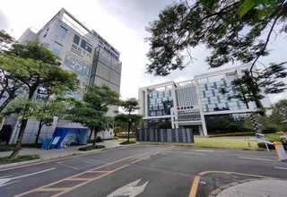 福建免熏蒸卡扣箱购买