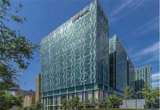 益阳网站优化网络推广有哪些